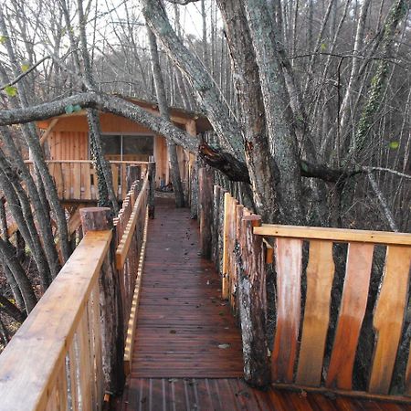 Cabane Des Cerfs Allons  Екстериор снимка